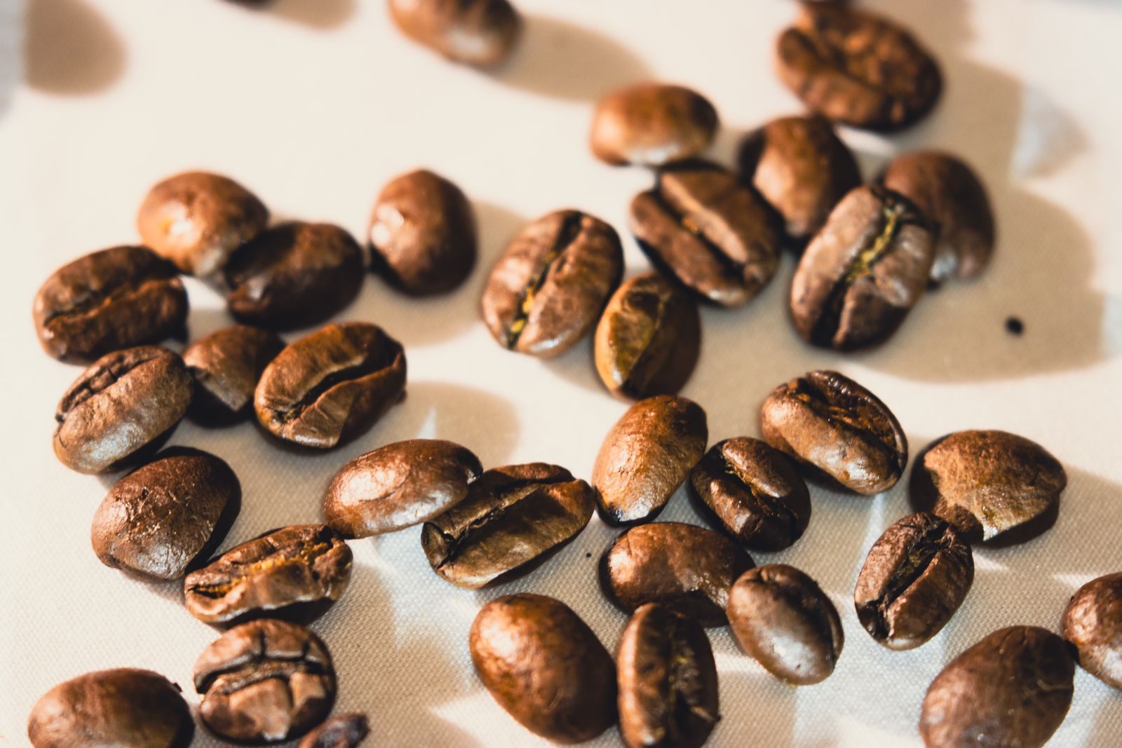 Close-up of whole roasted coffee beans scattered on a light surface